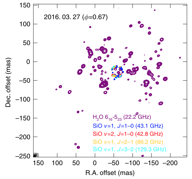 Astrometrically registered velocity-integrated intensity maps of 22.2 GHz H2O and 43.1/42.8/86.2/129.3 GHz SiO masers obtained from the SFPR technique toward VX Sgr.
